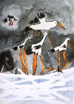 Sottníková Aneta.jpg